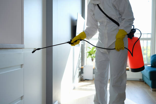 Best Black Mold Removal  in Berry College, GA